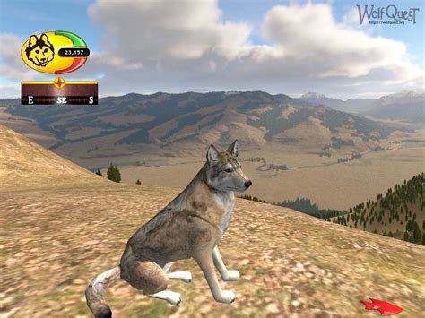 wolf online spiele